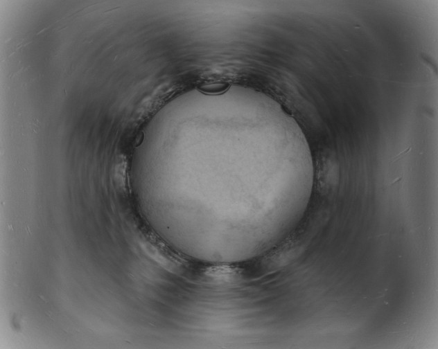 X0000101470231200807211343