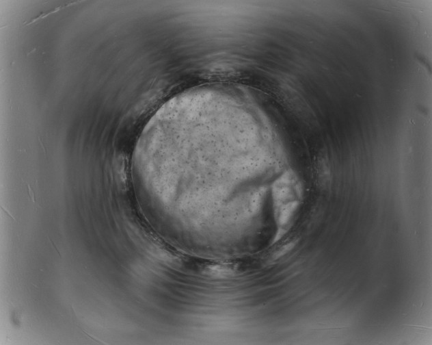 X0000101470232200807211343