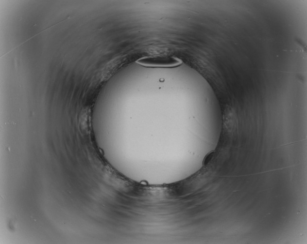 X0000101470233200807211343