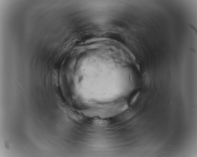 X0000101470234200807211343