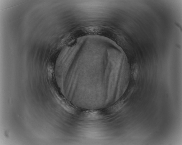 X0000101470235200807211343