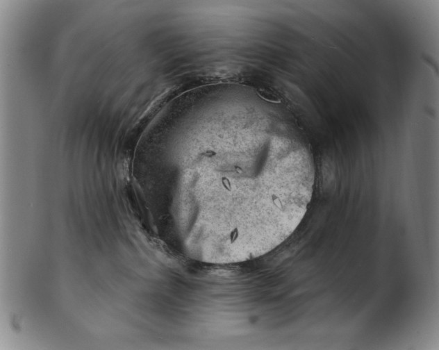 X0000101470236200807211343