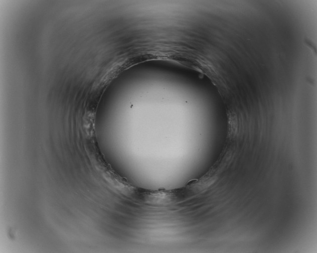 X0000101470237200807211343