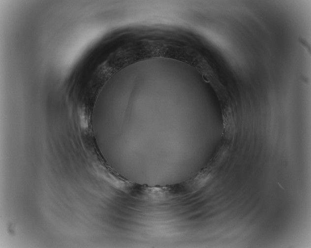 X0000101470239200807211343