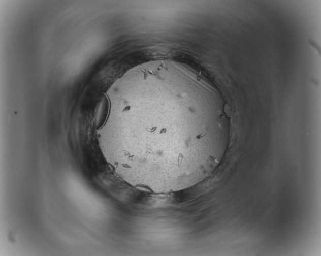 X0000101470240200807211343