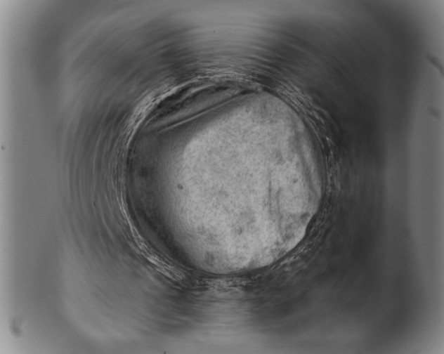 X0000101470241200807211343