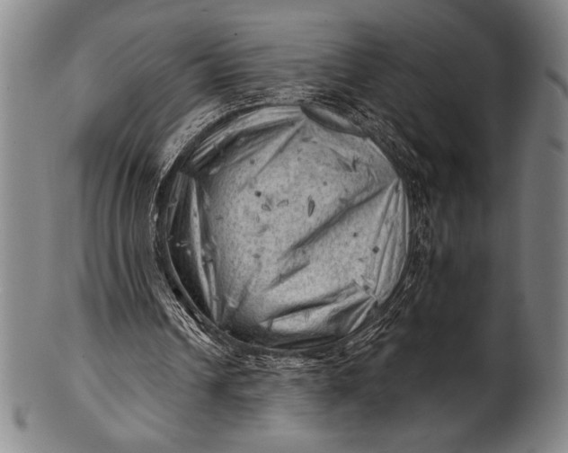 X0000101470242200807211343