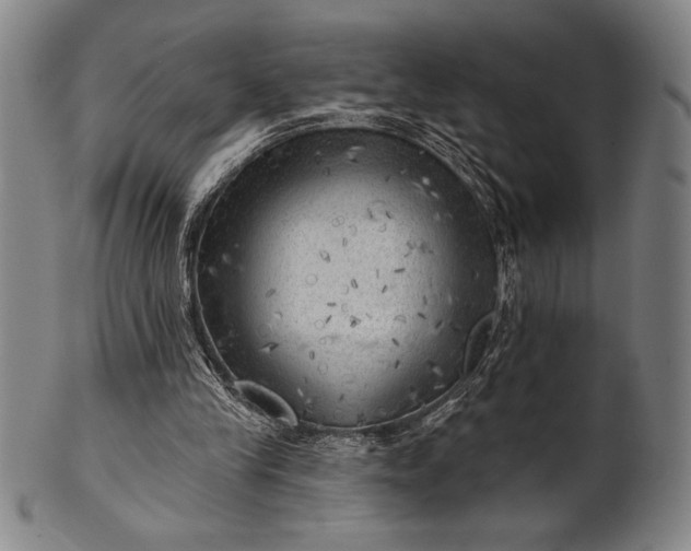 X0000101470245200807211343