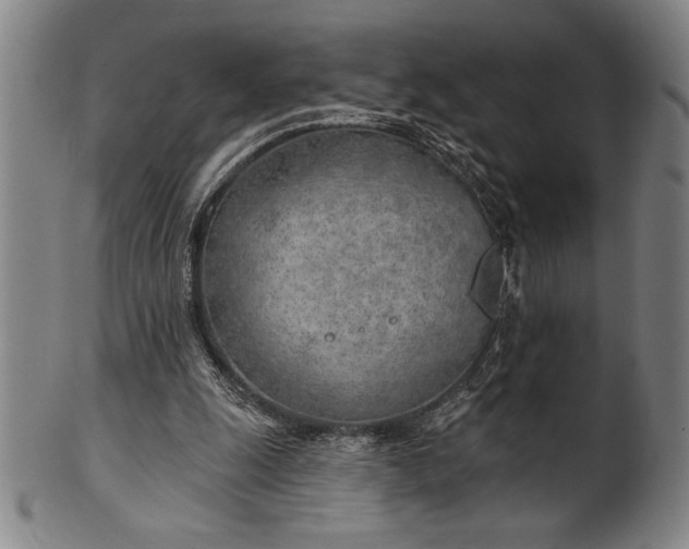 X0000101470247200807211343