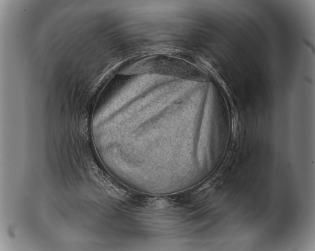 X0000101470249200807211343