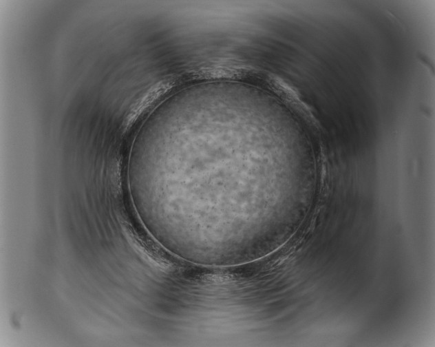 X0000101470250200807211343