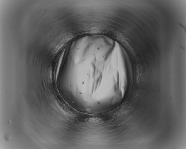 X0000101470251200807211343