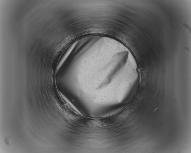 X0000101470253200807211343