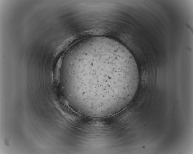 X0000101470254200807211343