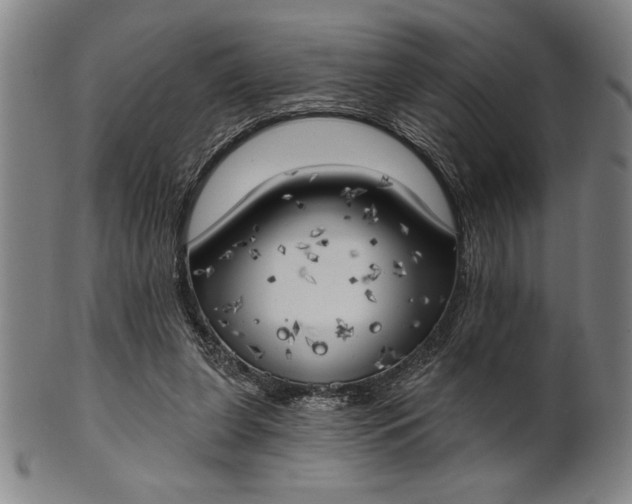 X0000101470255200807211343