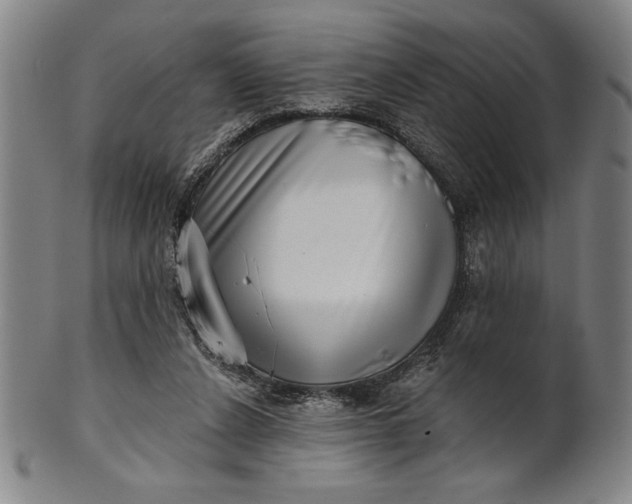 X0000101470256200807211343