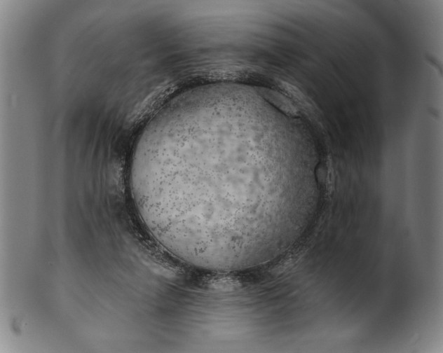 X0000101470258200807211343