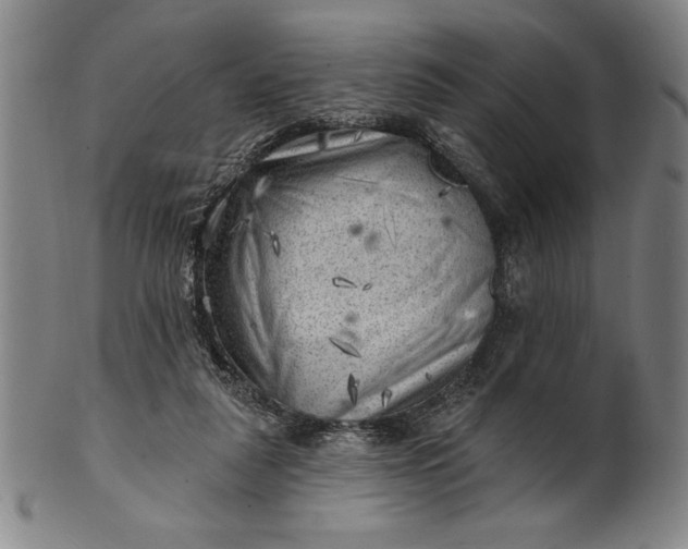 X0000101470259200807211343