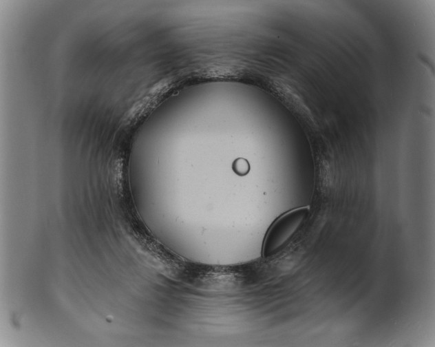 X0000101470260200807211343