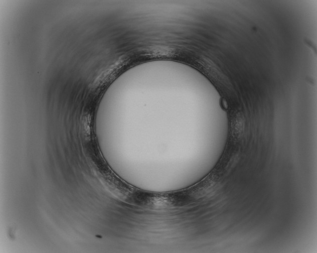 X0000101470264200807211343