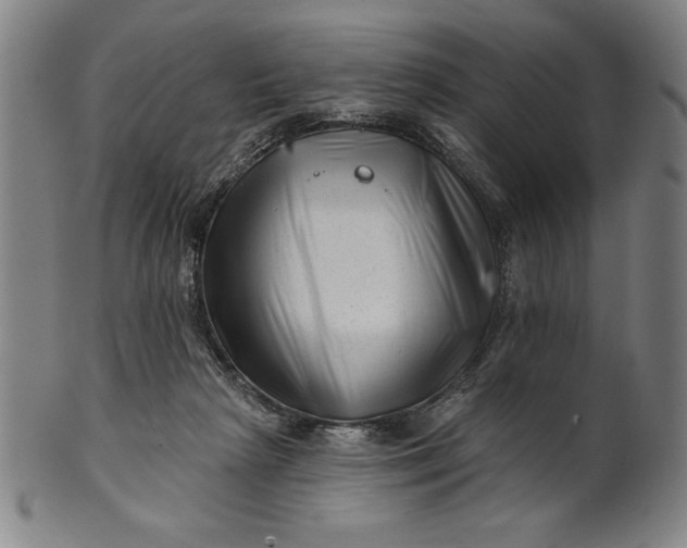 X0000101470265200807211343