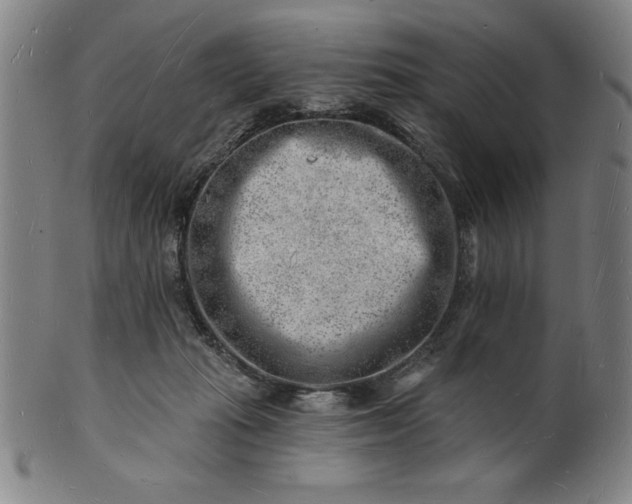 X0000101470269200807211343