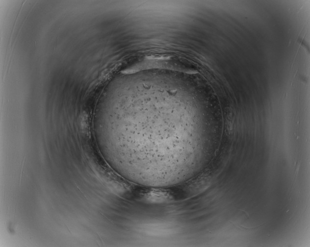 X0000101470270200807211343