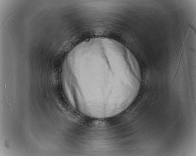 X0000101470272200807211343