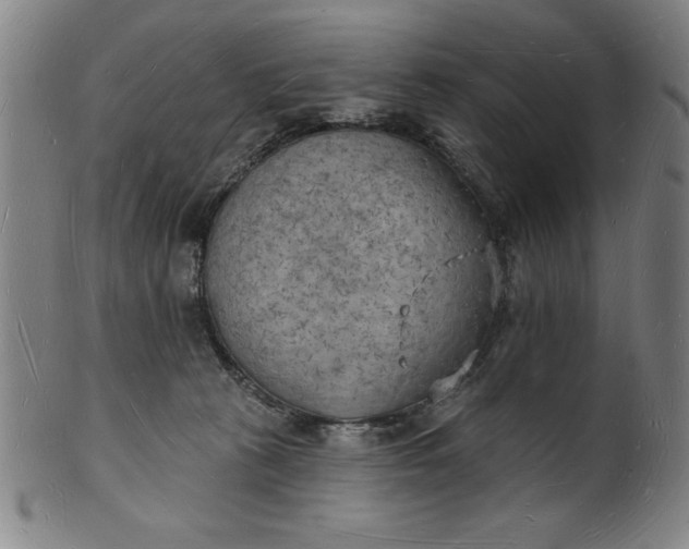 X0000101470273200807211343