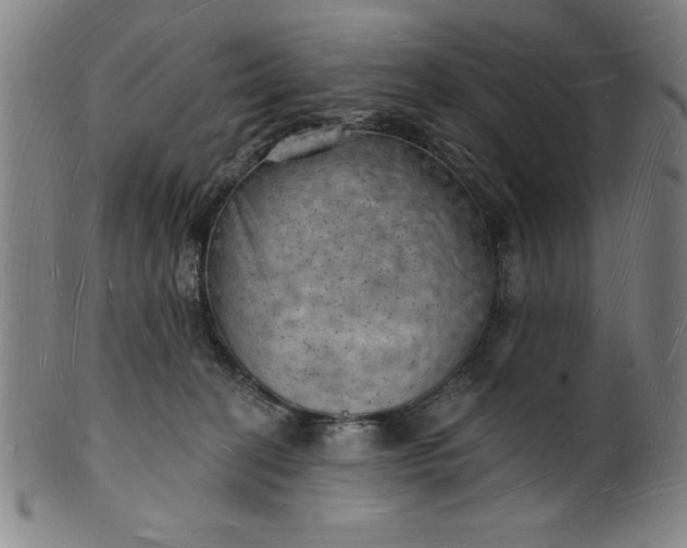 X0000101470274200807211343