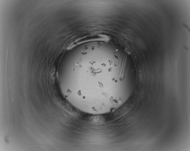 X0000101470275200807211343