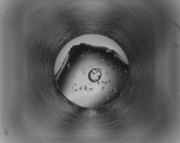 X0000101470276200807211343