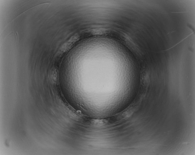 X0000101470277200807211343