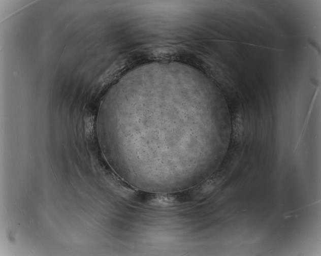 X0000101470278200807211343