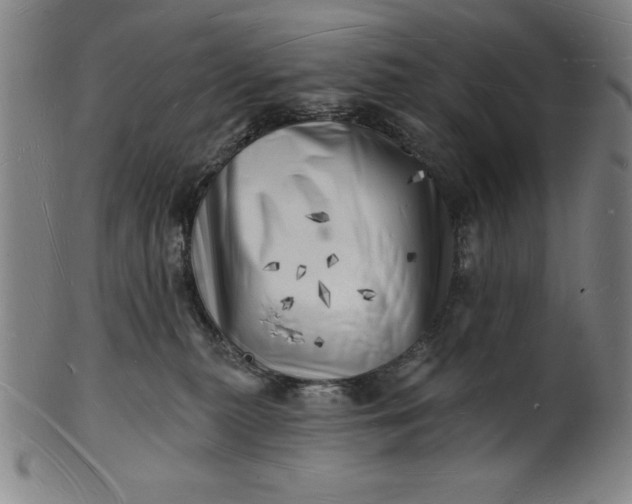 X0000101470279200807211343