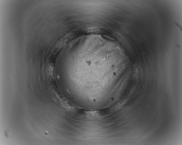 X0000101470281200807211343