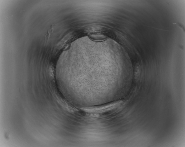 X0000101470282200807211343