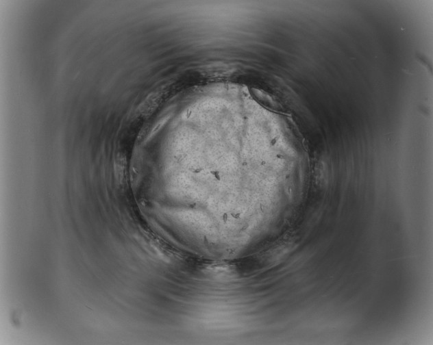 X0000101470283200807211343