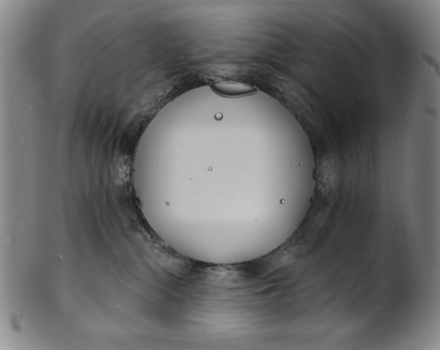 X0000101470284200807211343