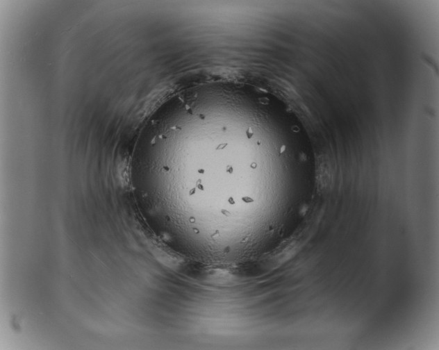 X0000101470285200807211343