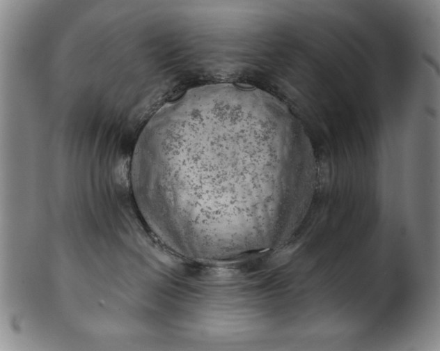 X0000101470286200807211343