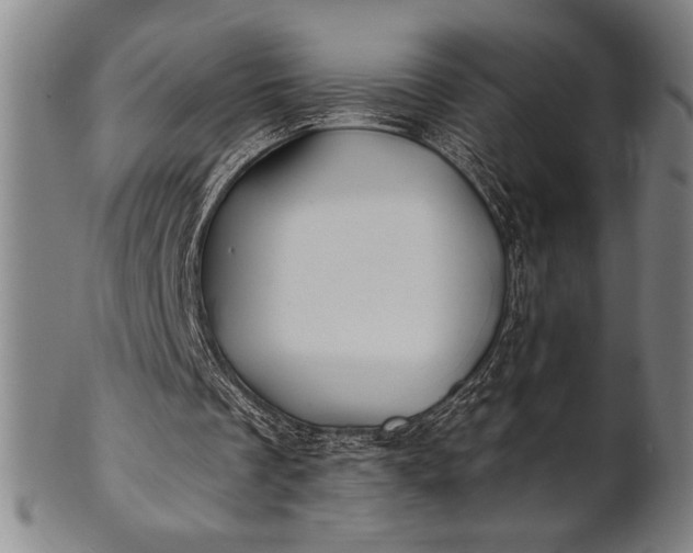 X0000101470289200807211343