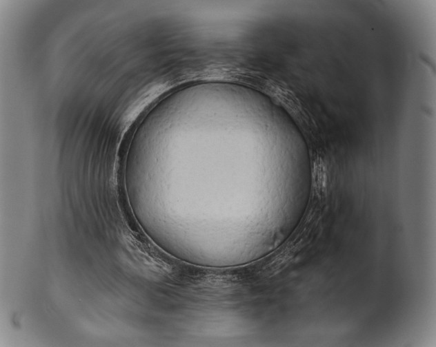 X0000101470292200807211343