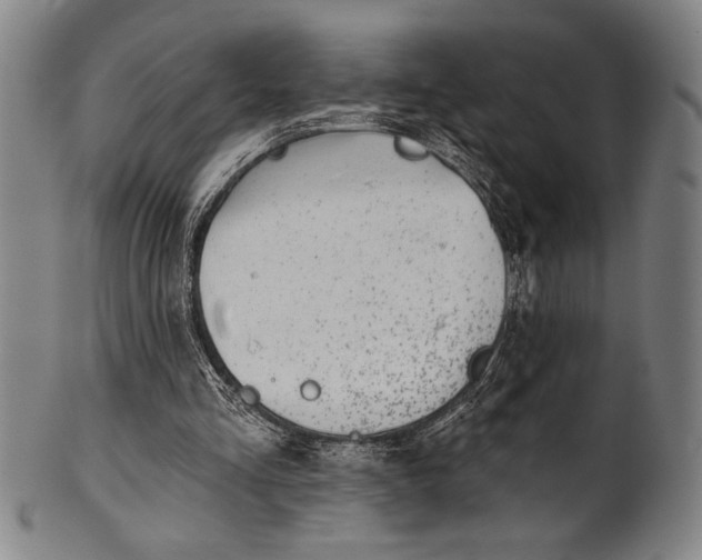 X0000101470293200807211343