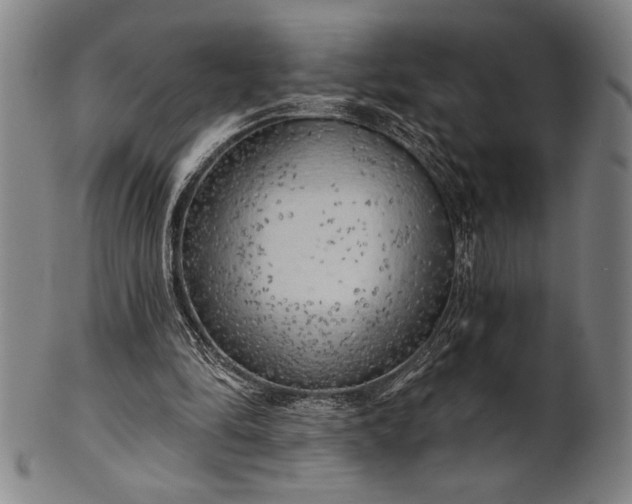 X0000101470294200807211343