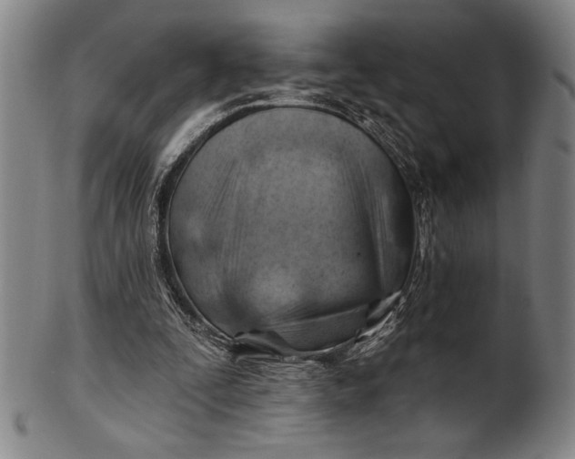 X0000101470295200807211343