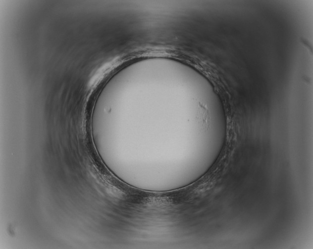 X0000101470296200807211343