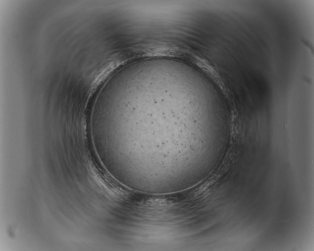 X0000101470298200807211343