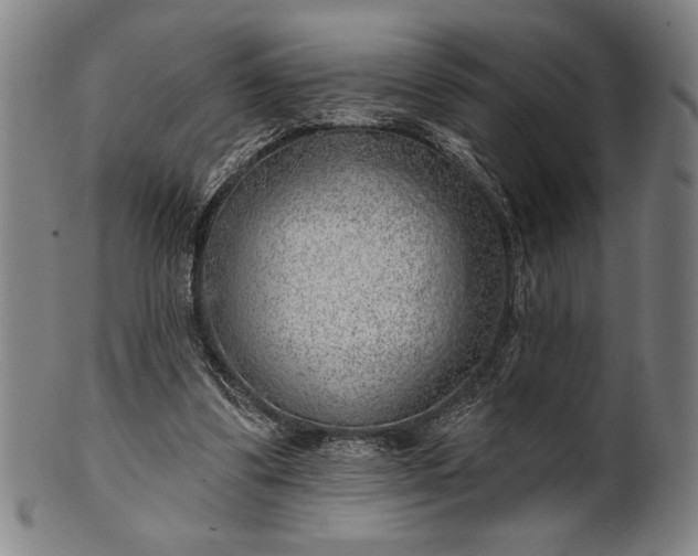 X0000101470299200807211342