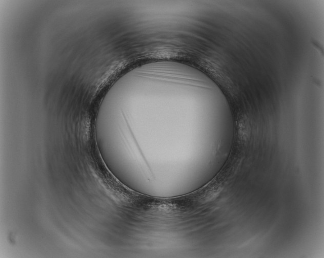 X0000101470304200807211342